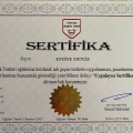Resmi büyüt: certificate 9