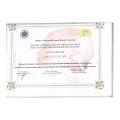 Resmi büyüt: certificate 21