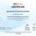 Resmi büyüt: certificate 4