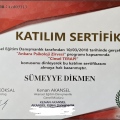 Resmi büyüt: certificate 1