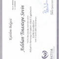 Resmi büyüt: certificate 9