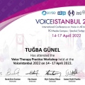 Resmi büyüt: certificate 3