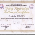 Resmi büyüt: certificate 65