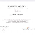 Resmi büyüt: certificate 4