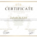 Resmi büyüt: certificate 2