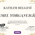Resmi büyüt: certificate 3