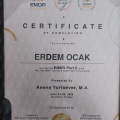 Resmi büyüt: certificate 1