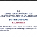 Resmi büyüt: certificate 2
