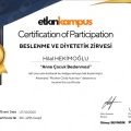Resmi büyüt: certificate 16