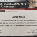 Resmi büyüt: certificate 1