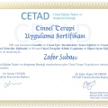Resmi büyüt: certificate 1