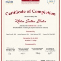 Resmi büyüt: certificate 2
