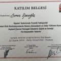 Resmi büyüt: certificate 1