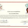 Resmi büyüt: certificate 20