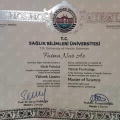 Resmi büyüt: certificate 8