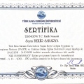 Resmi büyüt: certificate 6
