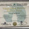 Resmi büyüt: certificate 10