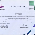 Resmi büyüt: certificate 8