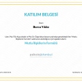 Resmi büyüt: certificate 1
