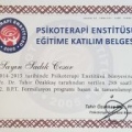 Resmi büyüt: certificate 2