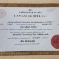 Resmi büyüt: certificate 3
