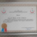 Resmi büyüt: certificate 1
