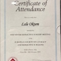 Resmi büyüt: certificate 5