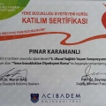 Resmi büyüt: certificate 2