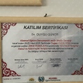 Resmi büyüt: certificate 18