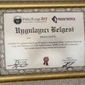 Resmi büyüt: certificate 16