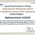 Resmi büyüt: certificate 19
