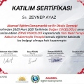 Resmi büyüt: certificate 8