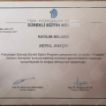 Resmi büyüt: certificate 4