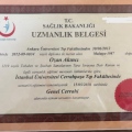 Resmi büyüt: certificate 1