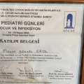 Resmi büyüt: certificate 4