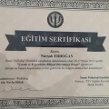 Resmi büyüt: certificate 4