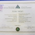Resmi büyüt: certificate 7