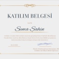 Resmi büyüt: certificate 9