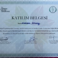 Resmi büyüt: certificate 9