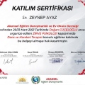 Resmi büyüt: certificate 5