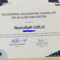 Resmi büyüt: certificate 2