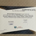 Resmi büyüt: certificate 1