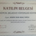 Resmi büyüt: certificate 4