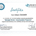 Resmi büyüt: certificate 16