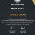 Resmi büyüt: certificate 2