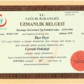 Resmi büyüt: certificate 1