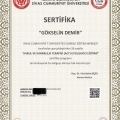 Resmi büyüt: certificate 13