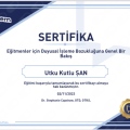 Resmi büyüt: certificate 10