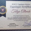Resmi büyüt: certificate 3