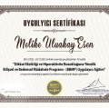 Resmi büyüt: certificate 2